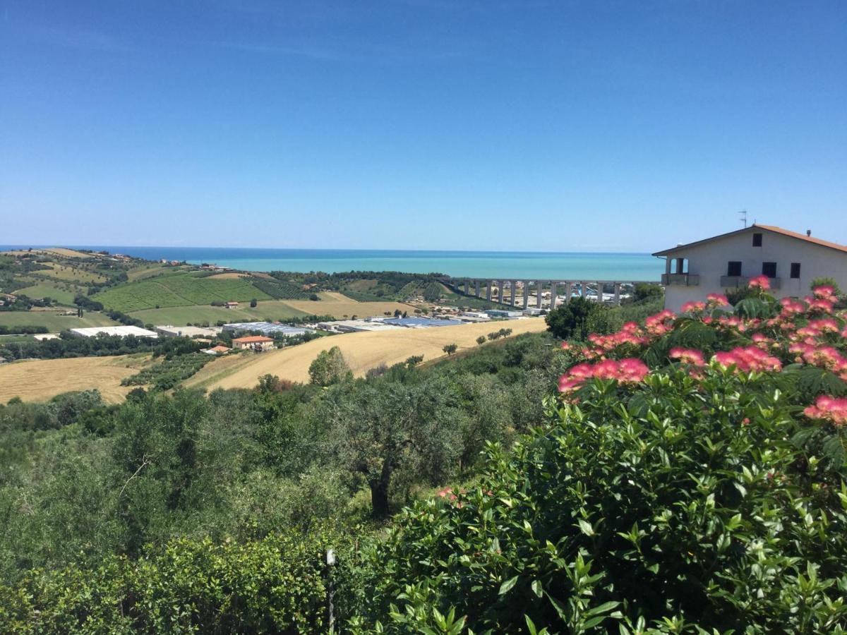 Ellebi B&B Montone  ภายนอก รูปภาพ