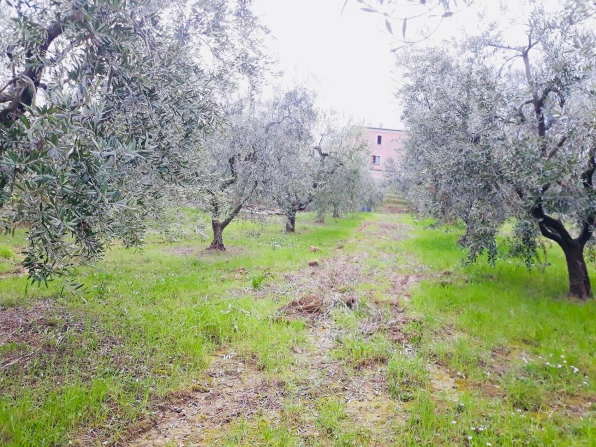 Ellebi B&B Montone  ภายนอก รูปภาพ