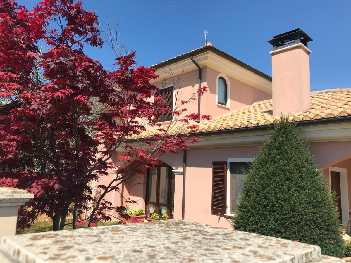 Ellebi B&B Montone  ภายนอก รูปภาพ